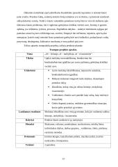 Trumpalaikis projektas V klasėje 13 puslapis