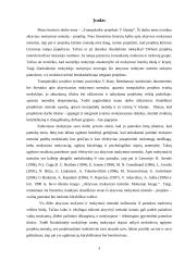 Trumpalaikis projektas V klasėje 3 puslapis