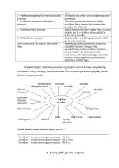 Trumpalaikis projektas V klasėje 9 puslapis