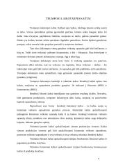 Trumpo laikotarpio kaštų funkcijos: matematinė išraiška ir savybės 3 puslapis
