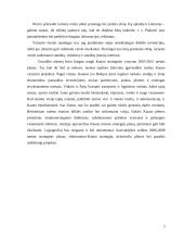 Turizmo įmonės steigimas 2 puslapis