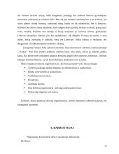 Turizmo įmonės steigimas 11 puslapis