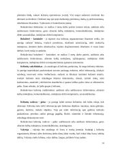 Turizmo įmonės steigimas 13 puslapis