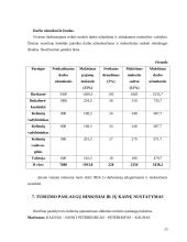 Turizmo įmonės steigimas 14 puslapis