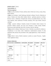 Turizmo įmonės steigimas 15 puslapis