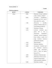 Turizmo įmonės steigimas 19 puslapis