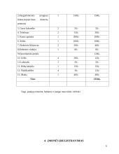 Turizmo įmonės steigimas 5 puslapis