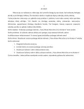 Turizmo paslaugų teikimo analizė: kelionė "Viena-Bruno-Macochos urvai-Krokuva" 3 puslapis