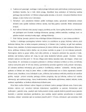 Turizmo paslaugų teikimo analizė: kelionė "Viena-Bruno-Macochos urvai-Krokuva" 7 puslapis