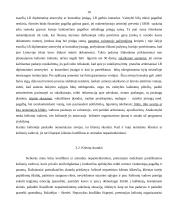 Turizmo paslaugų teikimo analizė: kelionė "Viena-Bruno-Macochos urvai-Krokuva" 10 puslapis