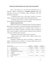 Turto ir jo savininkų duomenų kaupimas apskaitoje bei jų panaudojimas vadyboje AB "Lietuvos elektrinė" 17 puslapis