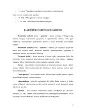 Turto ir jo savininkų duomenų kaupimas apskaitoje bei jų panaudojimas vadyboje AB "Lietuvos elektrinė" 5 puslapis