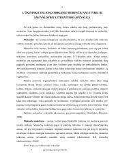 Ūkininko Erlicko mokami mokesčiai valstybei ir savivaldybei 5 puslapis