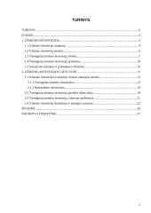 Užsienio investicijos Lietuvoje ir Lietuvos investicinė aplinka 2 puslapis