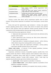 Užsienio rinkos parinkimas plėtrai: pastatų renovavimas UAB "Struktūra" 17 puslapis