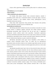 Vadybos sąvoka ir uždaviniai 17 puslapis