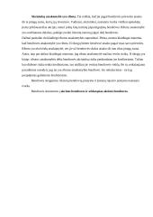 Vadybos sąvoka ir uždaviniai 20 puslapis