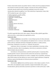 Vadybos sąvoka ir uždaviniai 8 puslapis