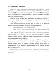 Vadybos procesų valdymas 12 puslapis