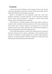 Vadybos procesų valdymas 13 puslapis