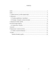 Vadybos procesų valdymas 3 puslapis