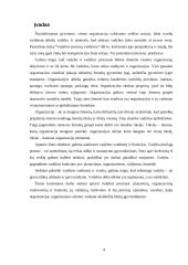 Vadybos procesų valdymas 4 puslapis