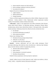 Vadybos procesų valdymas 6 puslapis