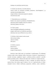 Vadovo darbo stiliai ir jų efektyvumas teoriniu aspektu 13 puslapis