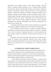 Vadovo darbo stiliai ir jų efektyvumas teoriniu aspektu 17 puslapis