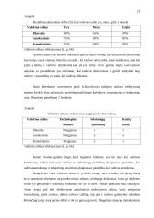 Vadovo darbo stiliai ir jų efektyvumas teoriniu aspektu 20 puslapis