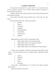 Vadovo darbo stiliai ir jų efektyvumas teoriniu aspektu 3 puslapis