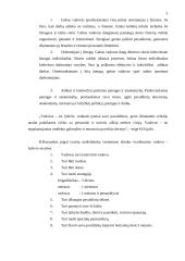 Vadovo darbo stiliai ir jų efektyvumas teoriniu aspektu 4 puslapis