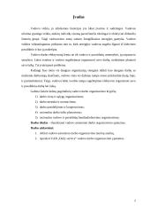 Vadovo asmeninio darbo organizavimas UAB "Daily service" 2 puslapis