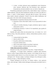 Vadovo asmeninio darbo organizavimas UAB "Daily service" 11 puslapis