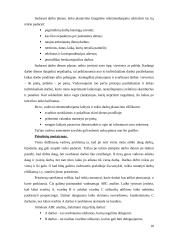 Vadovo asmeninio darbo organizavimas UAB "Daily service" 10 puslapis