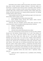 Vadovo darbo diena 11 puslapis