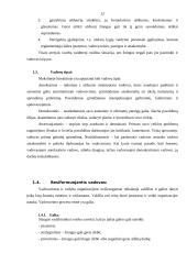 Vadovo darbo diena 12 puslapis