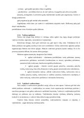 Vadovo darbo diena 13 puslapis