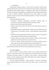 Vadovo darbo diena 17 puslapis