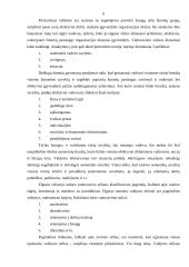 Vadovo darbo diena 9 puslapis