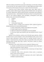 Vadovo darbo diena 10 puslapis