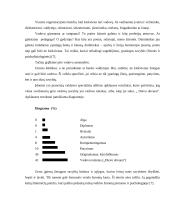 Vadovo darbo organizavimas įmonėje 3 puslapis
