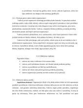 Vadovo darbo organizavimas įmonėje 9 puslapis