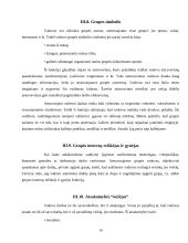 Vadovų valdymo stiliai 14 puslapis