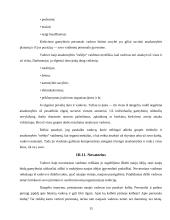 Vadovų valdymo stiliai 15 puslapis