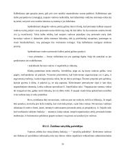 Vadovų valdymo stiliai 16 puslapis