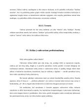 Vadovų valdymo stiliai 17 puslapis