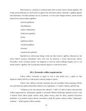 Vadovų valdymo stiliai 10 puslapis