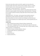 Vaikų užimtumo problema 11 puslapis