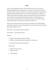 Vaikų užimtumo problema 3 puslapis